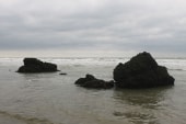 Falaise des vaches noires